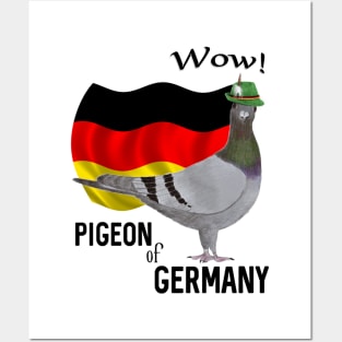 Pigeon of Germany Posters and Art